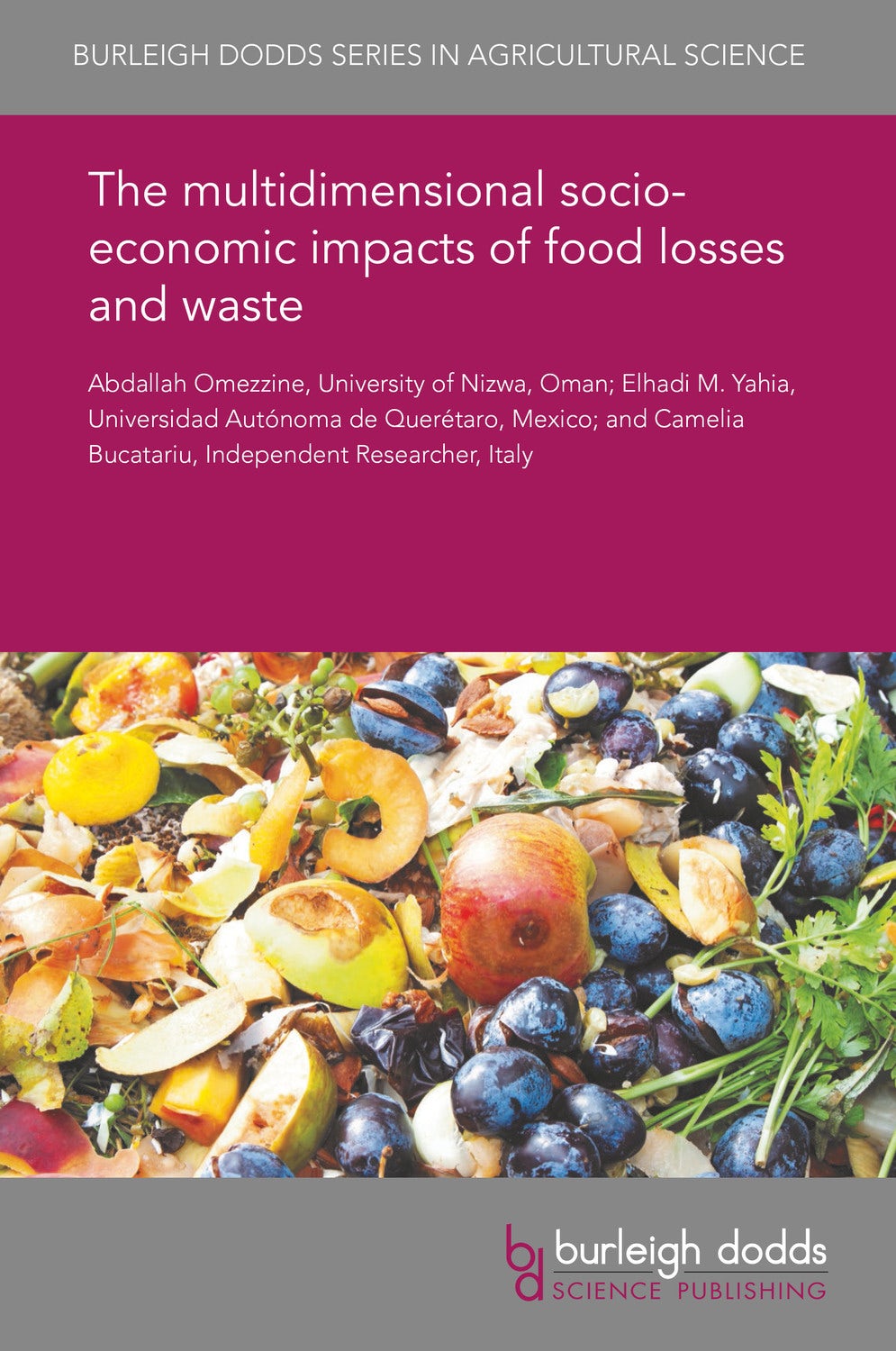 Book cover image for The multidimensional socio-economic impacts of food losses and waste ISBN: 9781786766779
